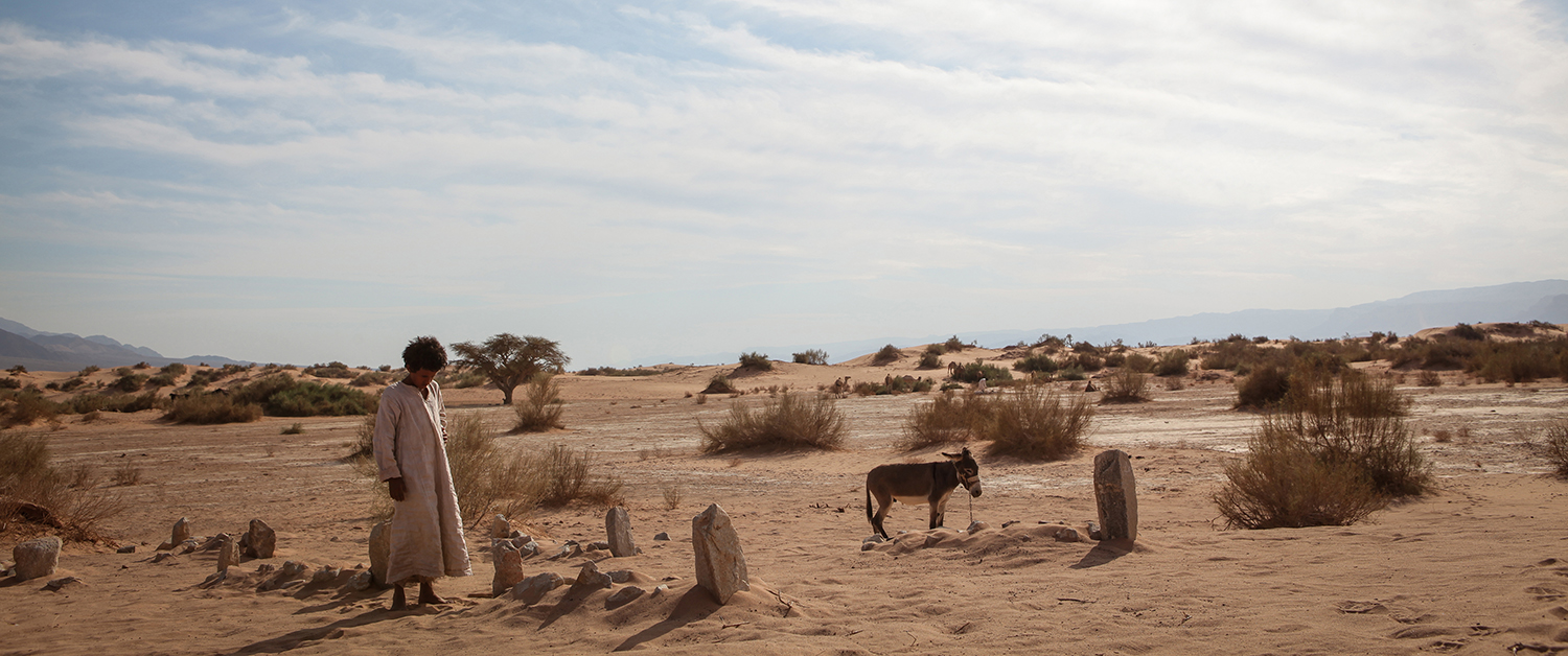 Filmstill aus "Theeb" © Trigon Film